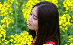 一夜一夜谢天天谢天天谢谢